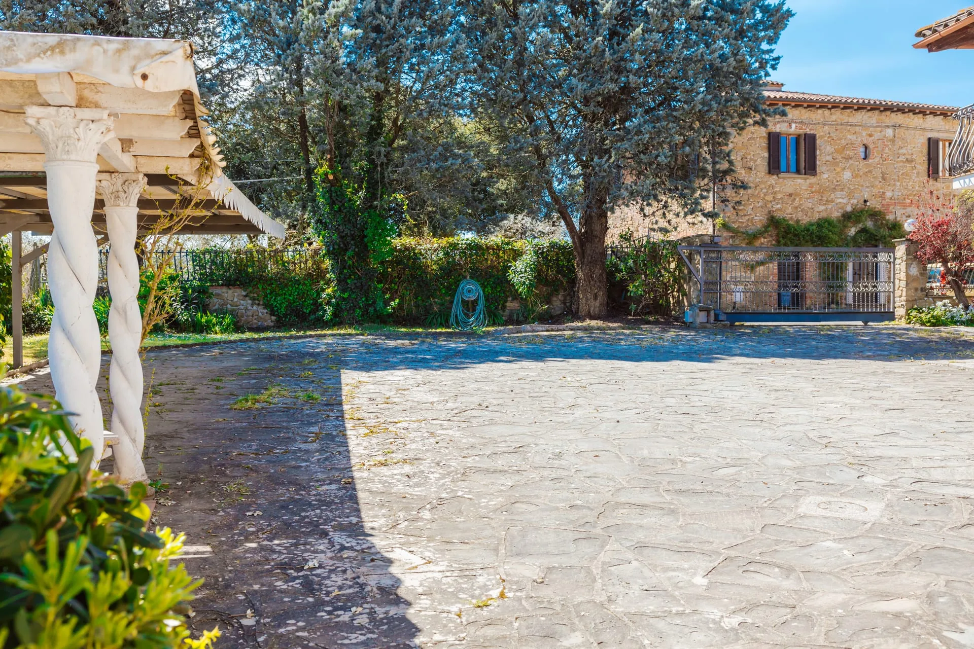 Garten mit Pergola und altem Olivenbaum